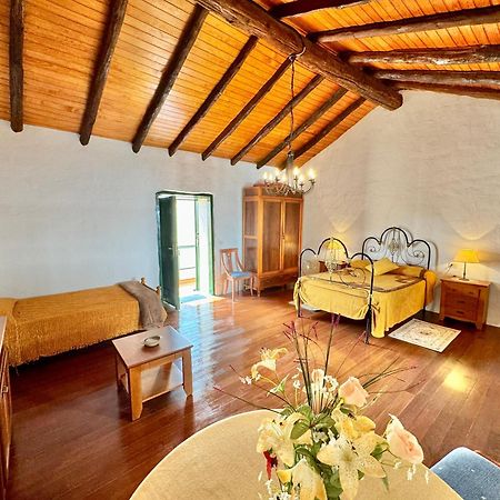סן מיגל דה אבונה Guanche 'Casa Rural Canaria' מראה חיצוני תמונה